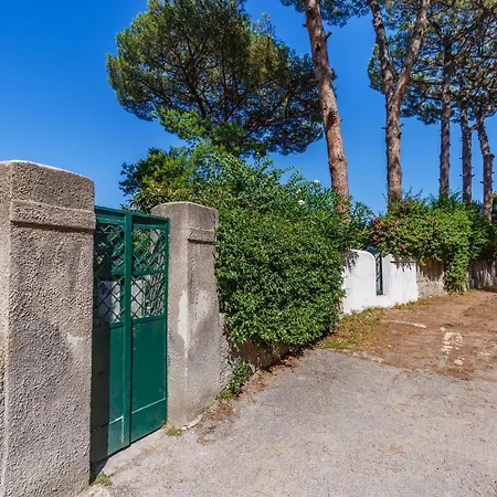 Apartment Romantic Place With Pines, Cats, Stunning View And Parking
