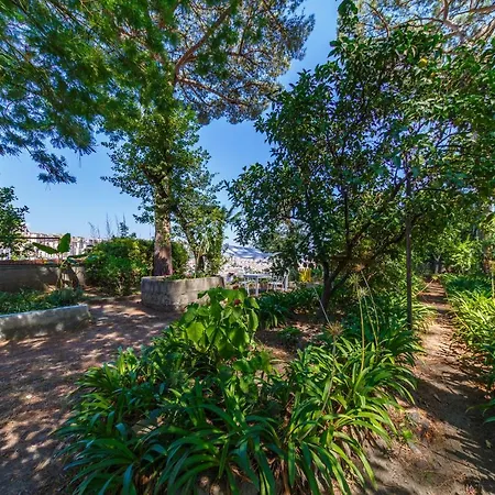 Apartament Romantic Place With Pines, Cats, Stunning View And Parking