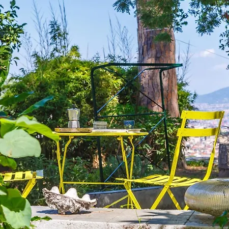 Appartamento Romantic Place With Pines, Cats, Stunning View And Parking *
