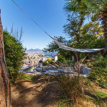 Appartamento Romantic Place With Pines, Cats, Stunning View And Parking *