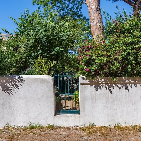 Romantic Place With Pines, Cats, Stunning View And Parking Napoli