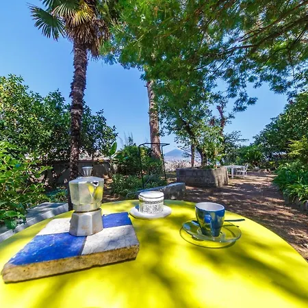 Romantic Place With Pines, Cats, Stunning View And Parking Napoli