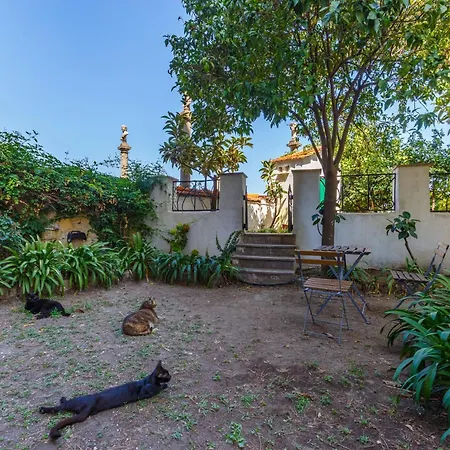 Apartament Romantic Place With Pines, Cats, Stunning View And Parking *