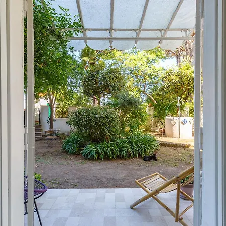 Romantic Place With Pines, Cats, Stunning View And Parking Apartament