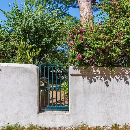 Romantic Place With Pines, Cats, Stunning View And Parking Apartament *