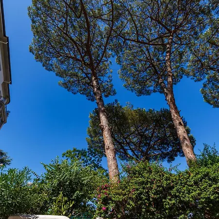 Romantic Place With Pines, Cats, Stunning View And Parking * Napoli