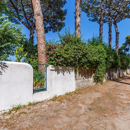 Appartamento Romantic Place With Pines, Cats, Stunning View And Parking Napoli