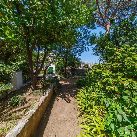 Apartament Romantic Place With Pines, Cats, Stunning View And Parking Neapol