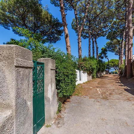 Romantic Place With Pines, Cats, Stunning View And Parking Napoli